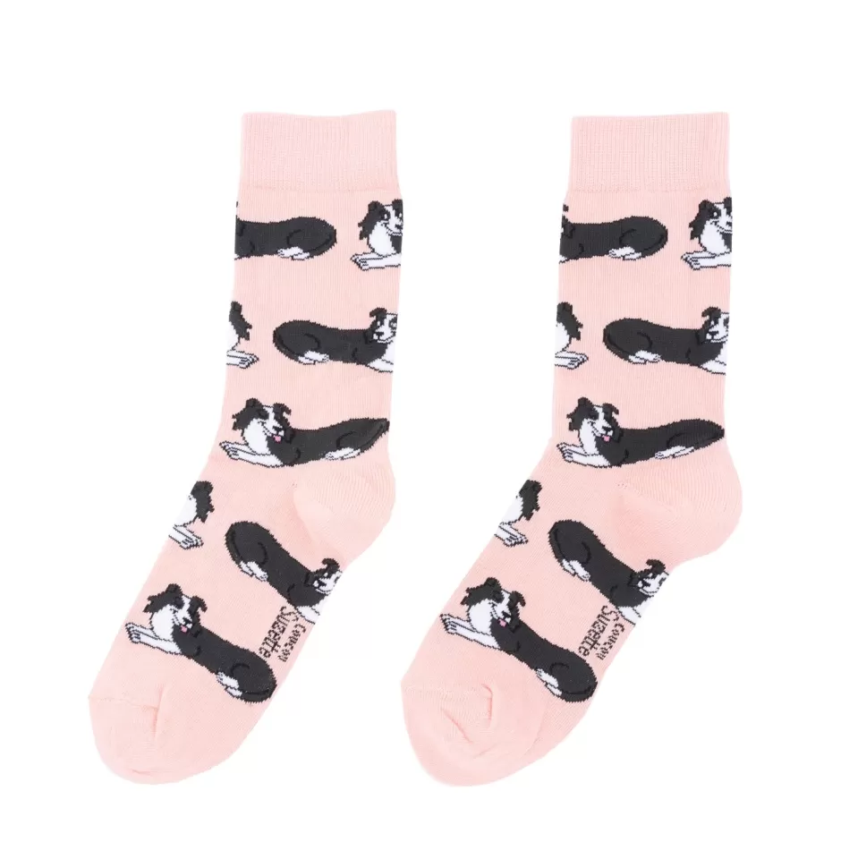 Coucou Suzette Chaussettes Border Collie^ Chaussettes Coton