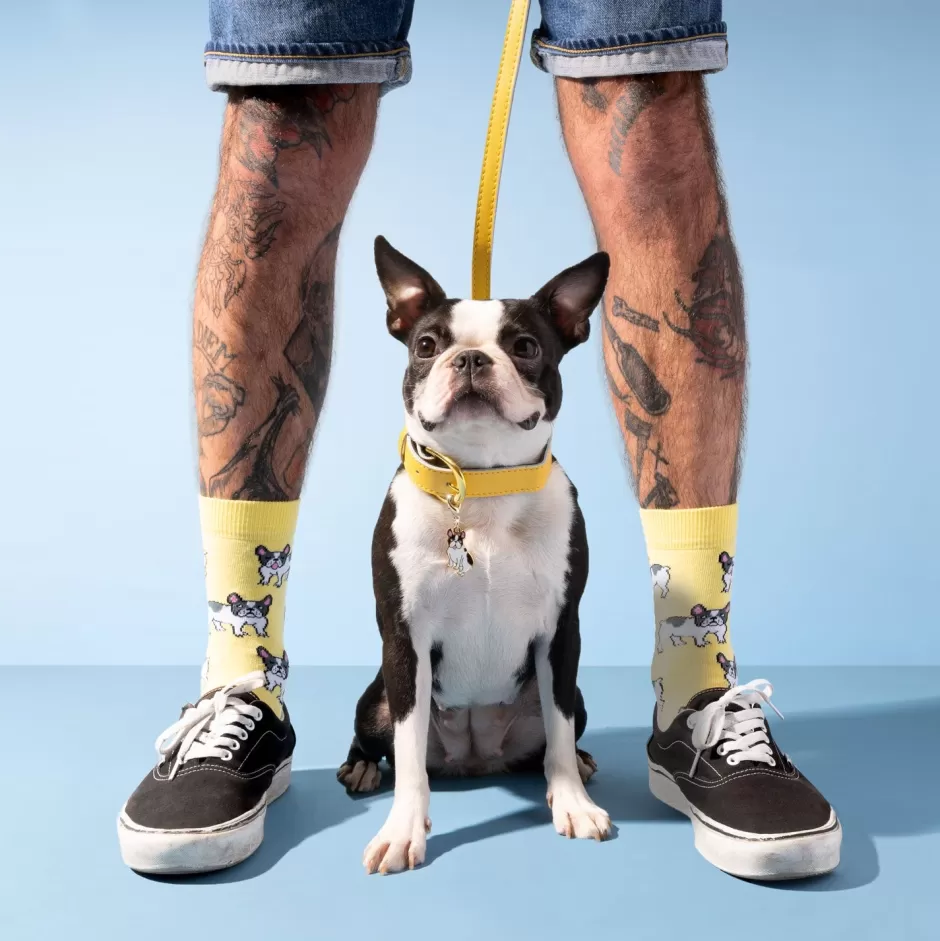 Coucou Suzette Chaussettes Bouledogue^ Chaussettes Coton