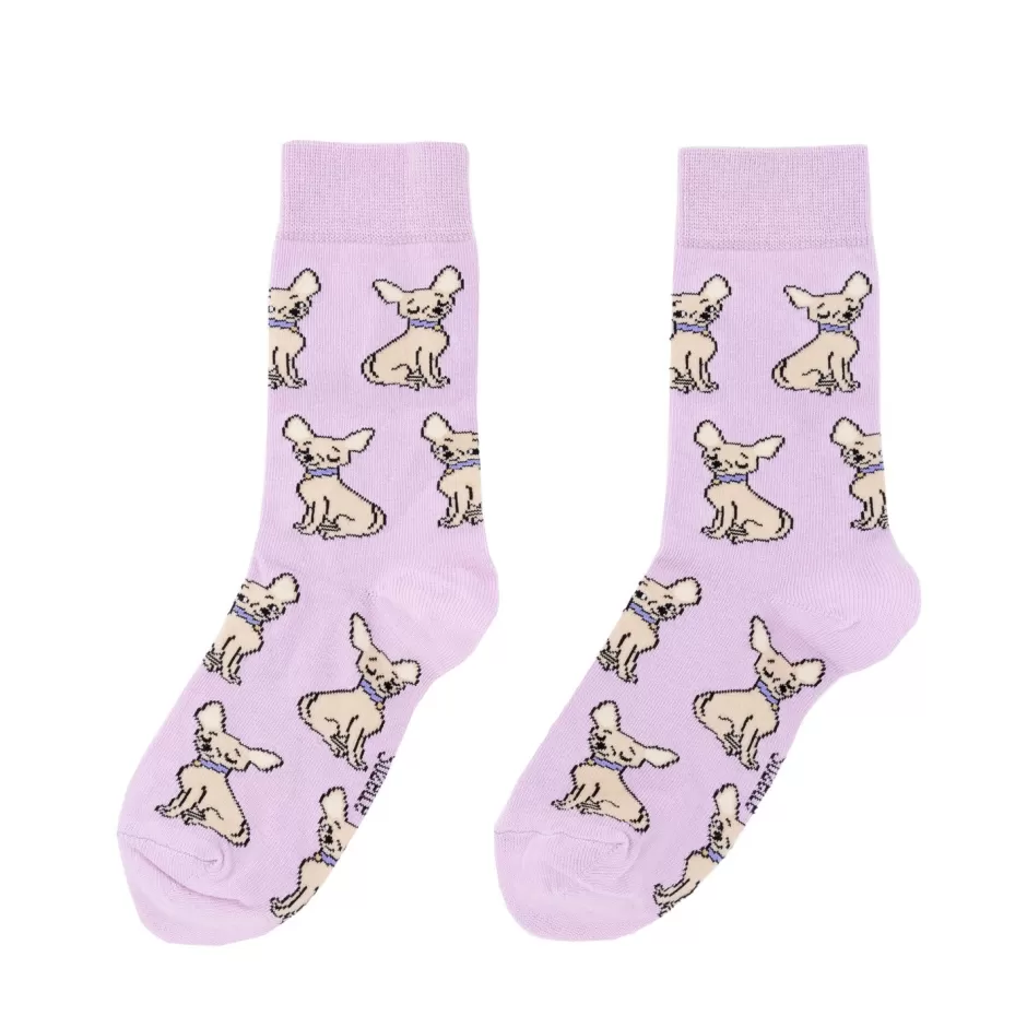 Coucou Suzette Chaussettes Chihuahua^ Chaussettes Coton