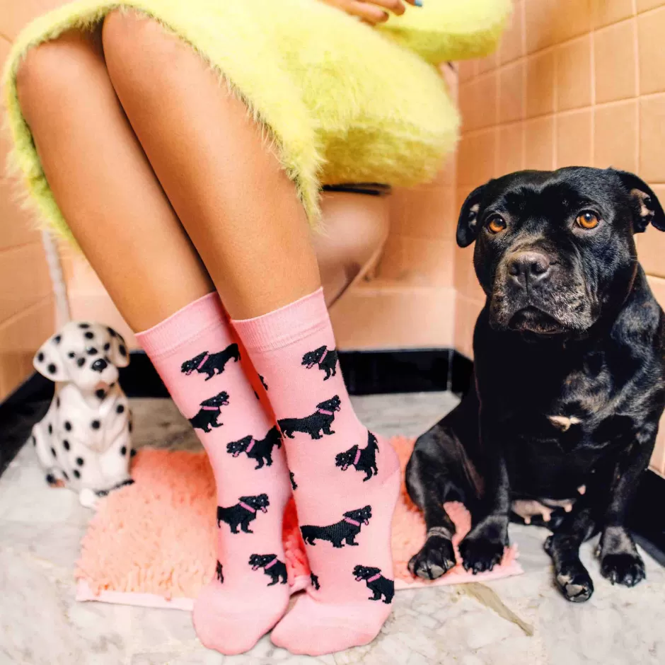 Coucou Suzette Chaussettes Staffie^ Chaussettes Coton