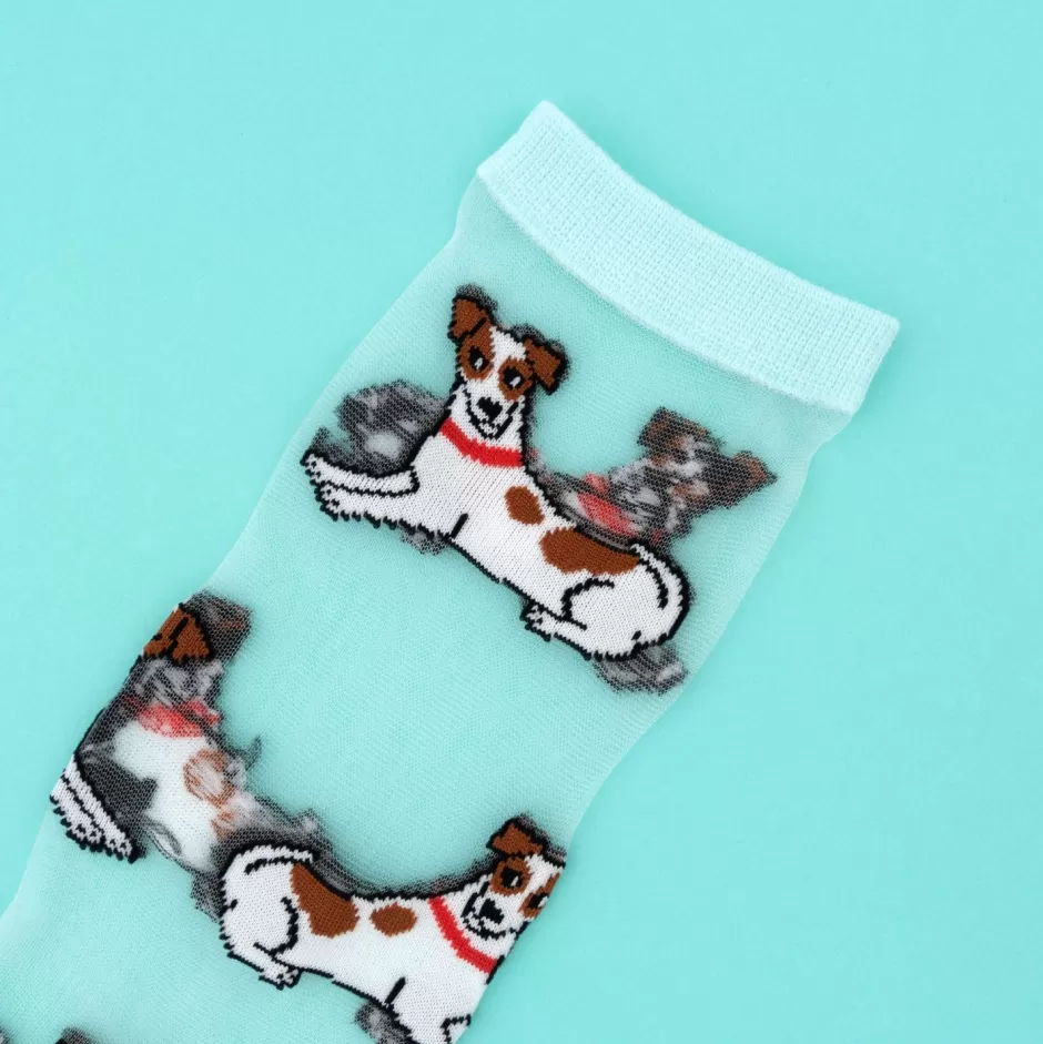 Coucou Suzette Chaussettes transparentes Jack Russel^ Chaussettes Transparentes