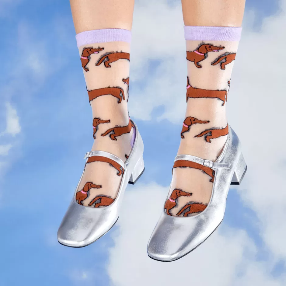 Coucou Suzette Chaussettes transparentes Teckel^ Chaussettes Transparentes