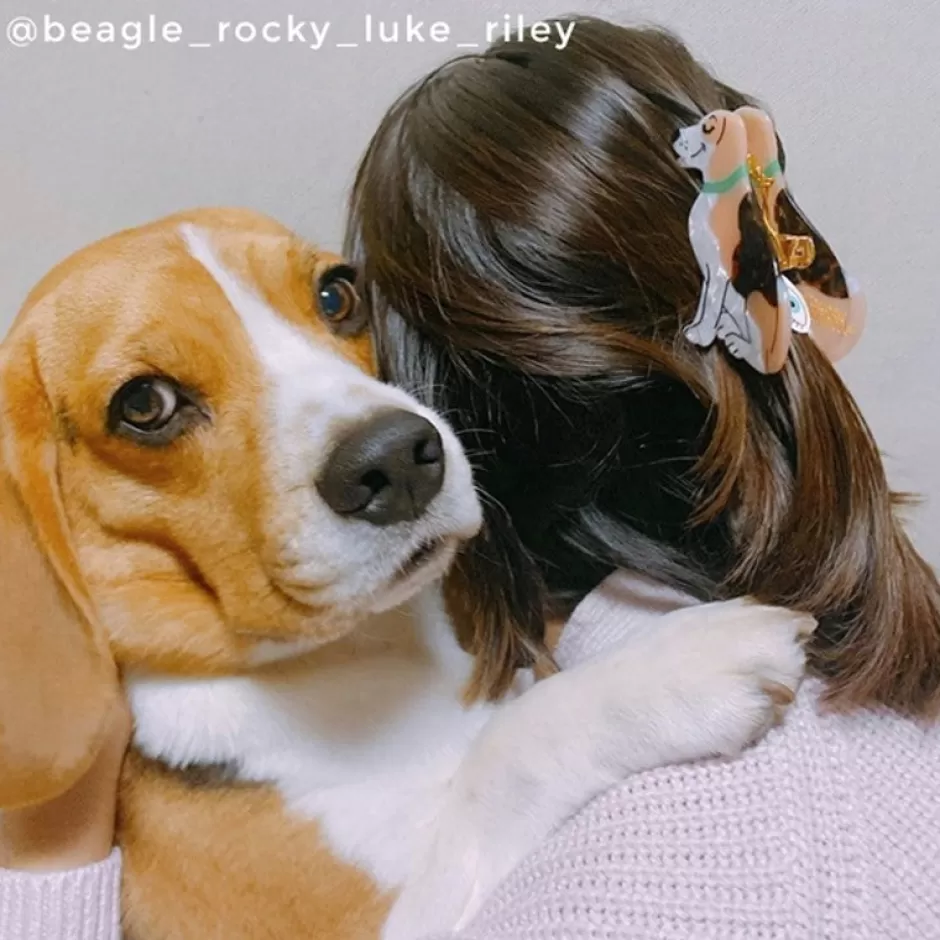 Coucou Suzette Pince à cheveux Beagle^ Pinces À Cheveux